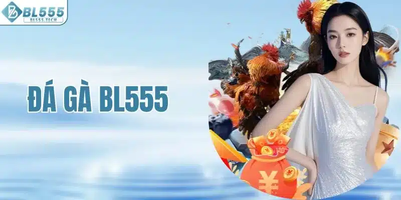 Đá Gà BL555 - Tường Thuật Trực Tiếp Các Trận Đấu Toàn Cầu