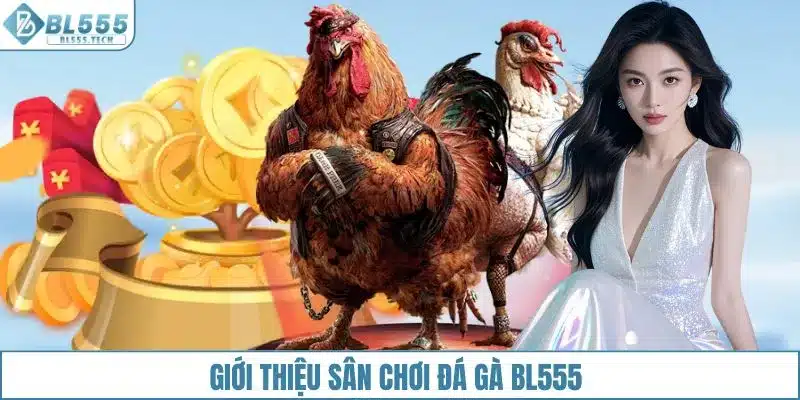 Giới thiệu sân chơi đá gà BL555