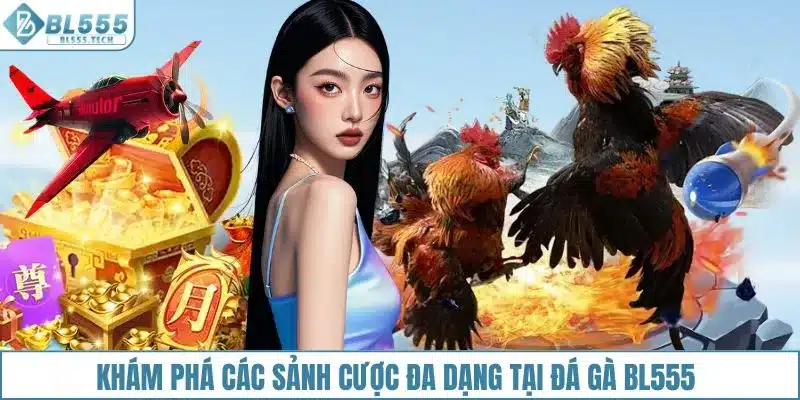 Khám phá các sảnh cược đa dạng tại đá gà BL555