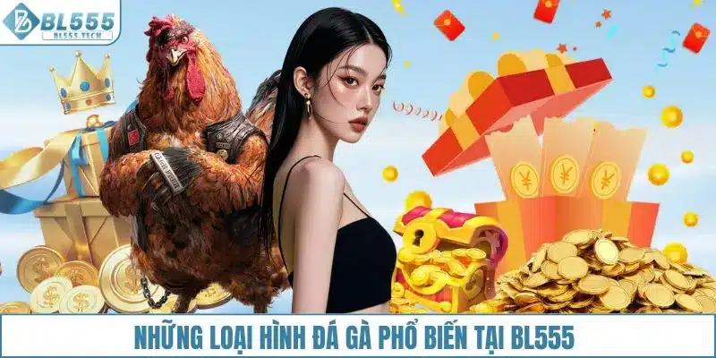 Những loại hình đá gà phổ biến tại BL555
