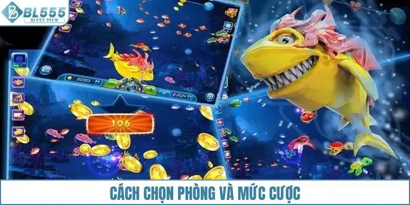Cách chọn phòng và mức cược