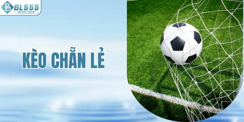 Chuyên Gia Tiết Lộ Cách Đọc Kèo Chẵn Lẻ Chính Xác Nhất